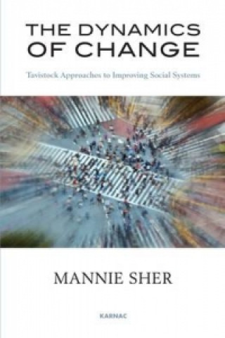 Buch Dynamics of Change Mannie Sher