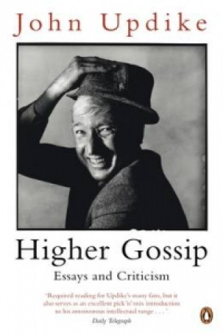 Buch Higher Gossip John Updike