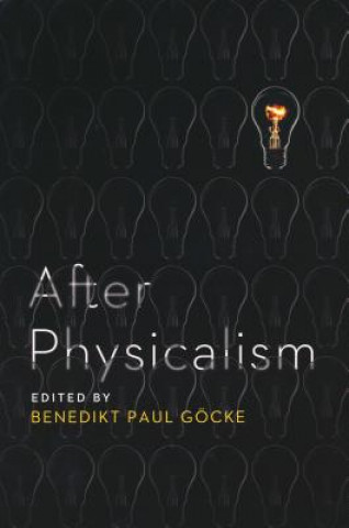 Könyv After Physicalism Benedikt Gocke
