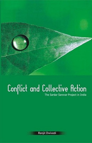 Buch Conflict and Collective Action Ranjit Dwivedi