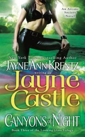 Книга Canyons of Night Jayne Ann Krentz