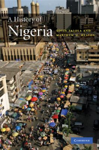 Könyv History of Nigeria Toyin Falola
