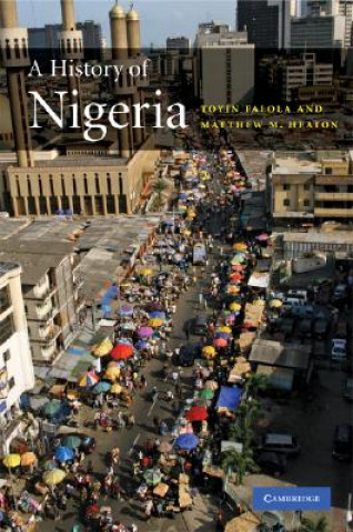 Book History of Nigeria Toyin Falola