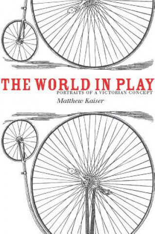 Kniha World in Play Matthew Kaiser