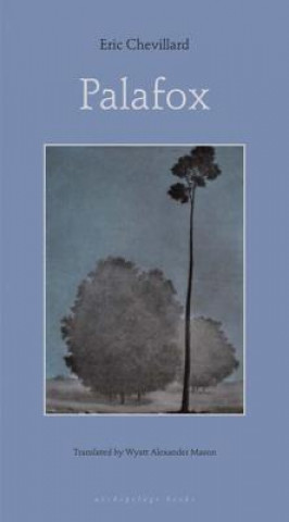 Book Palafox Eric Chevillard