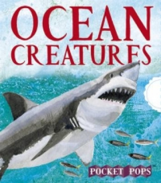 Carte Ocean Creatures: A Three-Dimensional Expanding Pocket Guide Sarah Young