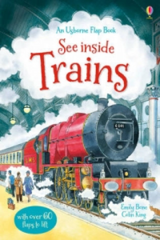 Książka See Inside Trains Emily Bone