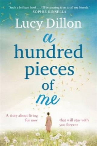 Kniha Hundred Pieces of Me Lucy Dillon
