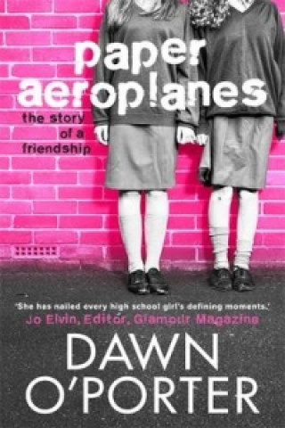 Book Paper Aeroplanes Dawn Porter