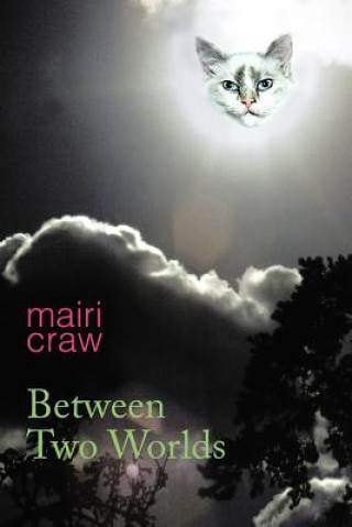 Kniha Between Two Worlds Mairi Craw