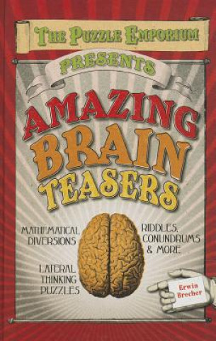 Kniha Amazing Brain Teasers Erwin Brecher