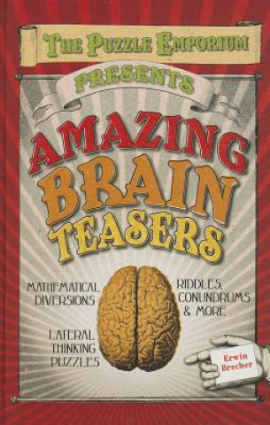 Buch Amazing Brain Teasers Erwin Brecher