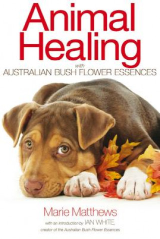 Könyv Animal Healing with Australian Bush Flower Essences Marie Matthews
