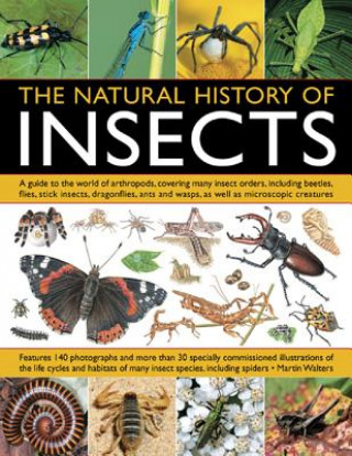 Книга Natural History of Insects Martin Walters