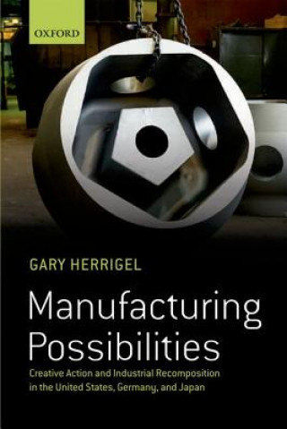 Kniha Manufacturing Possibilities Gary Herrigel