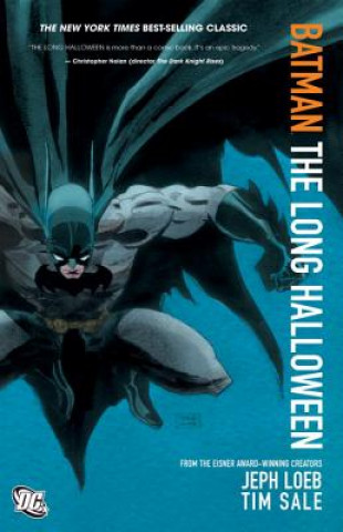 Kniha Batman: The Long Halloween Jeph Loeb