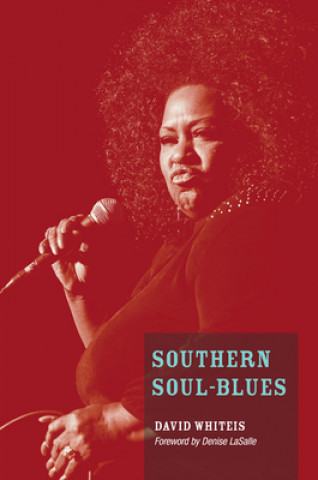 Kniha Southern Soul-Blues David G Whiteis