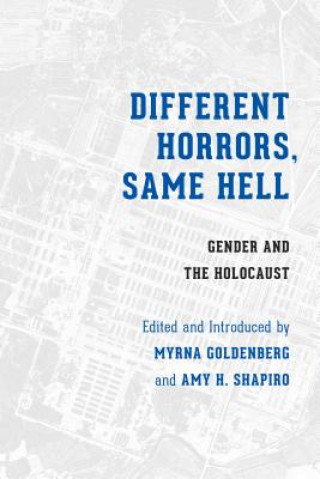 Buch Different Horrors, Same Hell Myrna Goldenberg