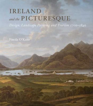 Book Ireland and the Picturesque Finola O'Kane