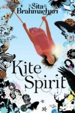 Könyv Kite Spirit Sita Brahmachari