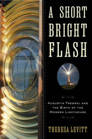 Buch Short Bright Flash Theresa Levitt