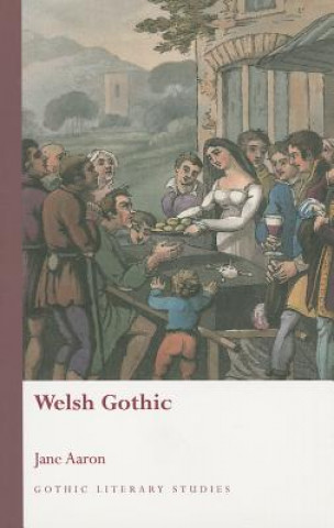 Buch Welsh Gothic Jane Aaron