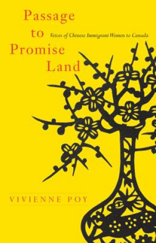 Könyv Passage to Promise Land Vivienne Poy