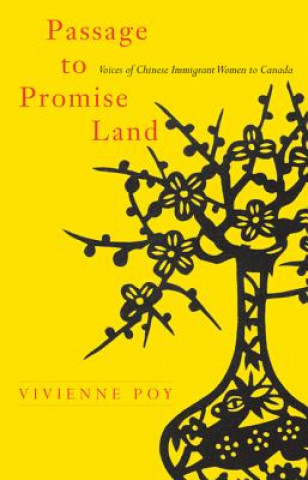 Buch Passage to Promise Land Vivienne Poy