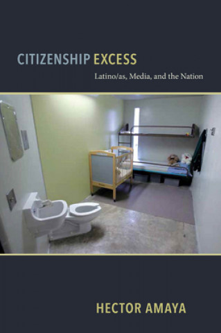 Kniha Citizenship Excess Hector Amaya