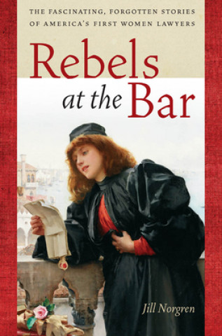 Kniha Rebels at the Bar Jill Norgren