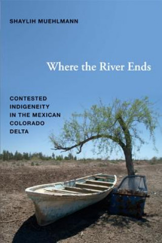 Kniha Where the River Ends Shaylih Muehlmann