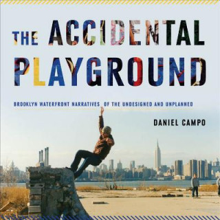 Книга Accidental Playground Daniel Campo