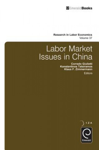 Kniha Labor Market Issues in China Solomon W Polachek