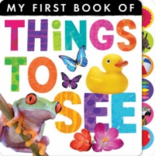 Kniha My First Book of: Things to See Little Tiger Press