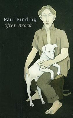 Книга After Brock Paul Binding