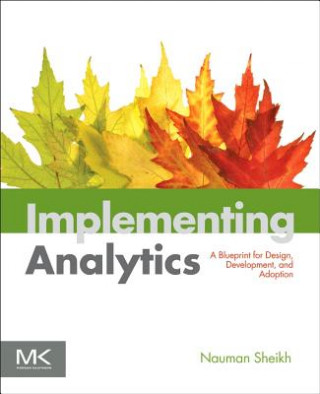 Kniha Implementing Analytics Nauman Sheikh