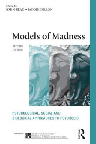 Book Models of Madness John Read