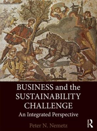 Könyv Business and the Sustainability Challenge Peter N Nemetz