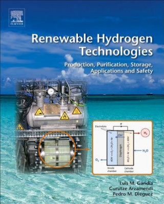 Kniha Renewable Hydrogen Technologies Luis Gandia