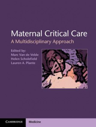 Kniha Maternal Critical Care Marc van de Velde