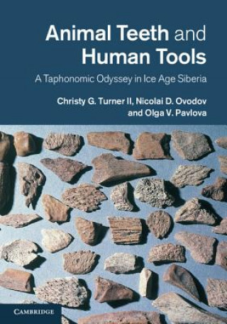 Kniha Animal Teeth and Human Tools Christy G Turner II