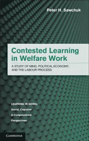 Könyv Contested Learning in Welfare Work Peter H Sawchuk