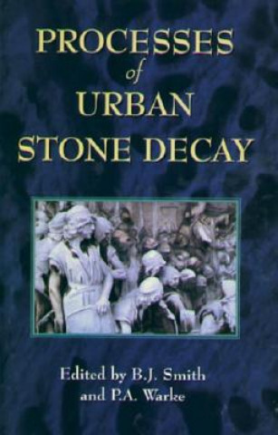 Kniha Processes of Urban Stone Decay B. J. Smith