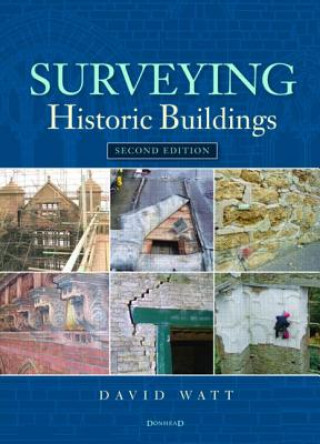 Könyv Surveying Historic Buildings David Watt