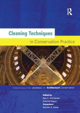 Книга Cleaning Techniques in Conservation Practice 
