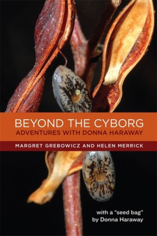 Книга Beyond the Cyborg Margret Grebowicz