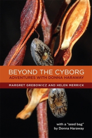 Kniha Beyond the Cyborg Margret Grebowicz