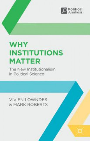 Carte Why Institutions Matter Vivien Lowndes