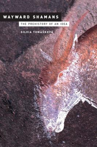 Kniha Wayward Shamans Silvia Tomaskova