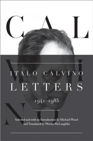 Kniha Italo Calvino Michael Wood
